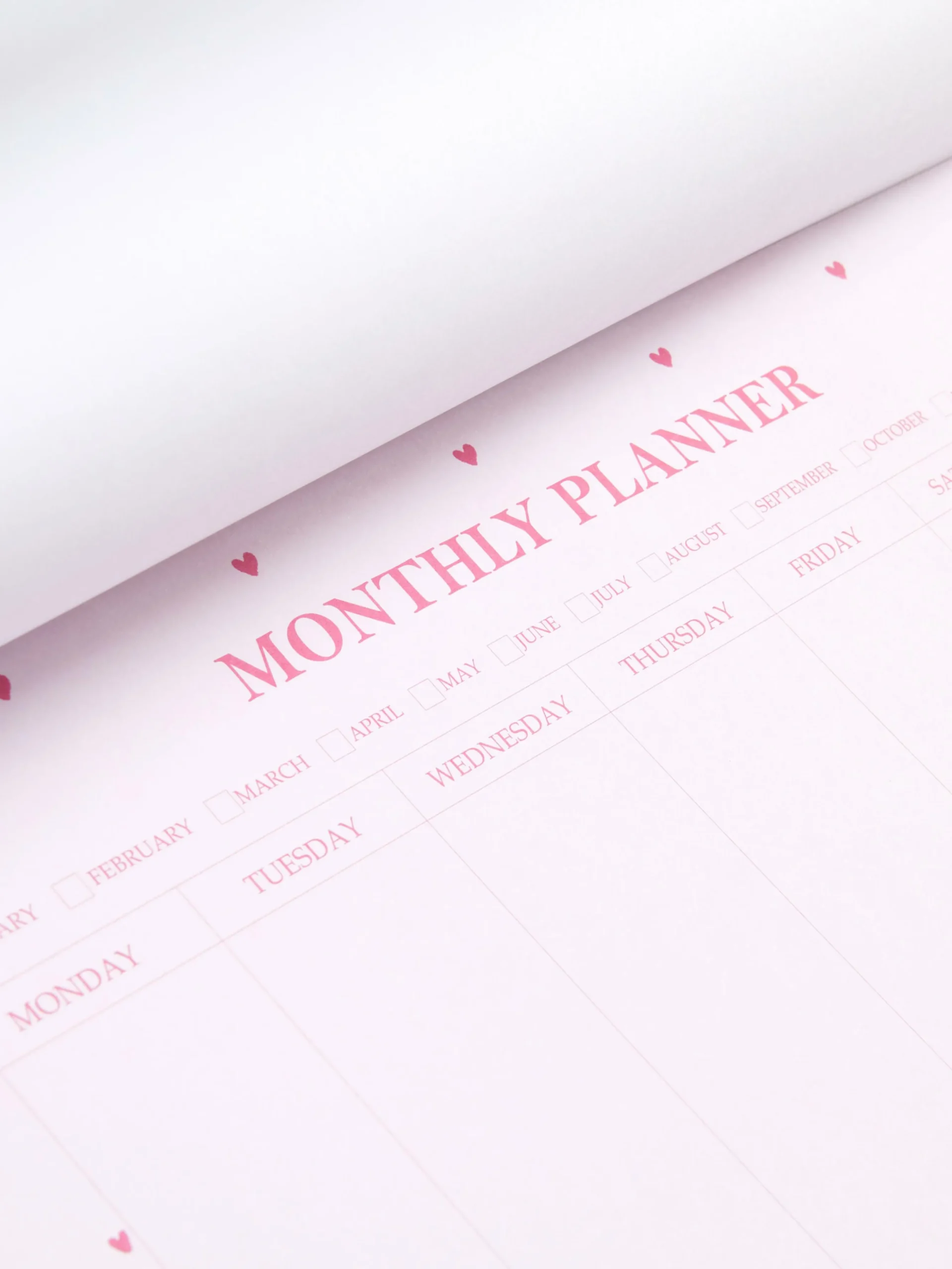 Agenda Mensal A4 Padrão Coração