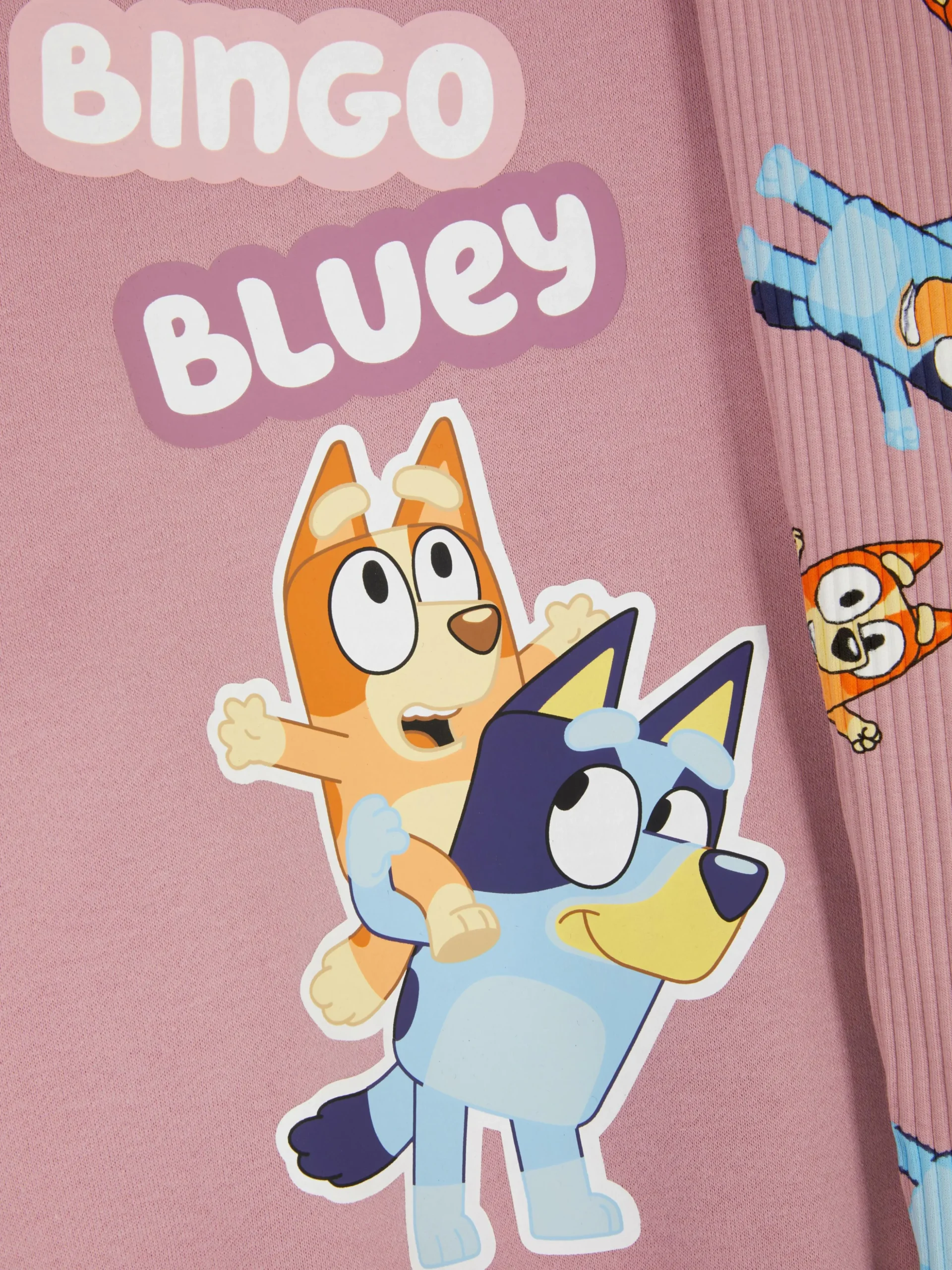 Conjunto Coordenado Camisola/leggings Bluey