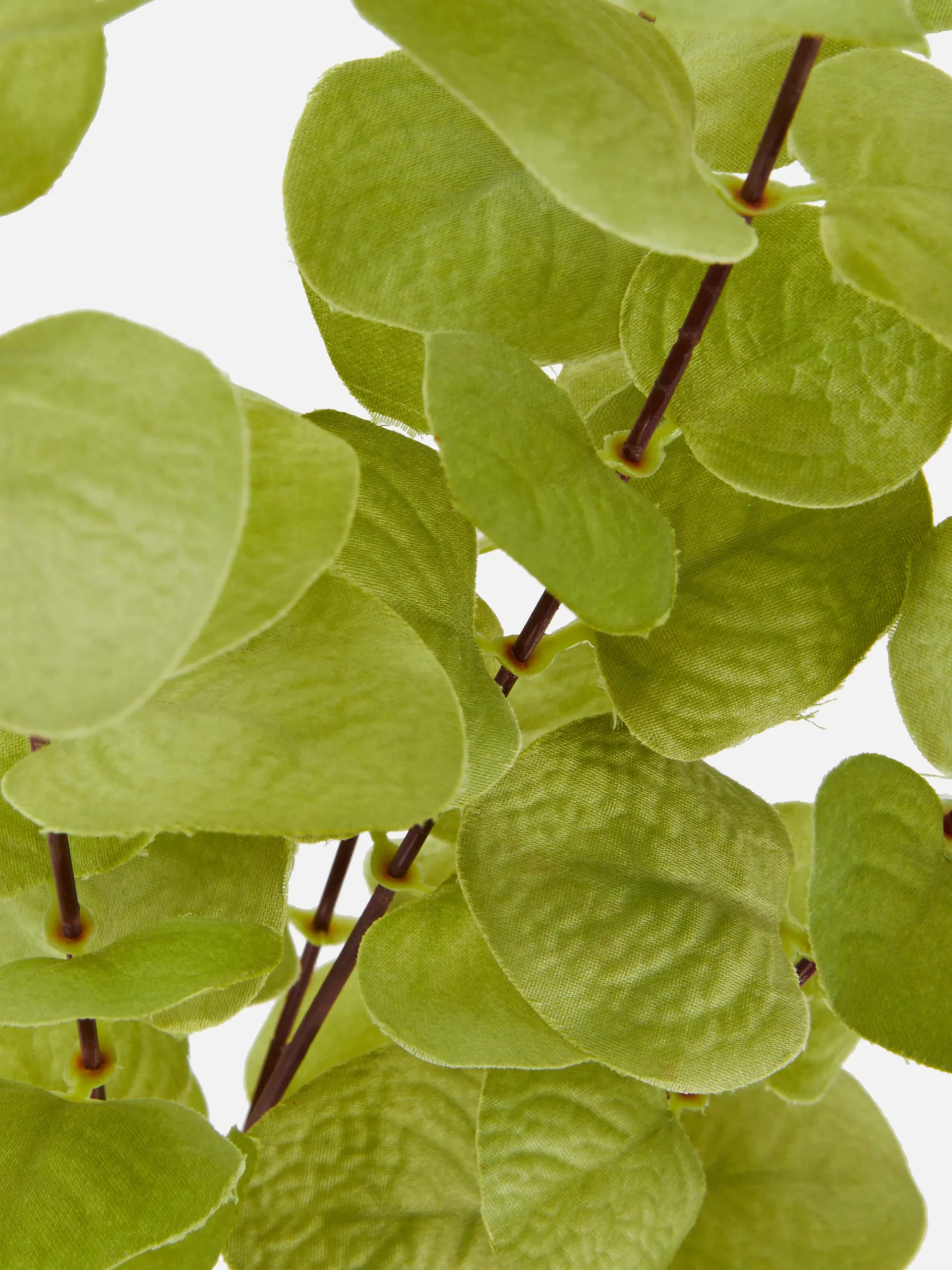 Eucalipto Artificial De Haste única