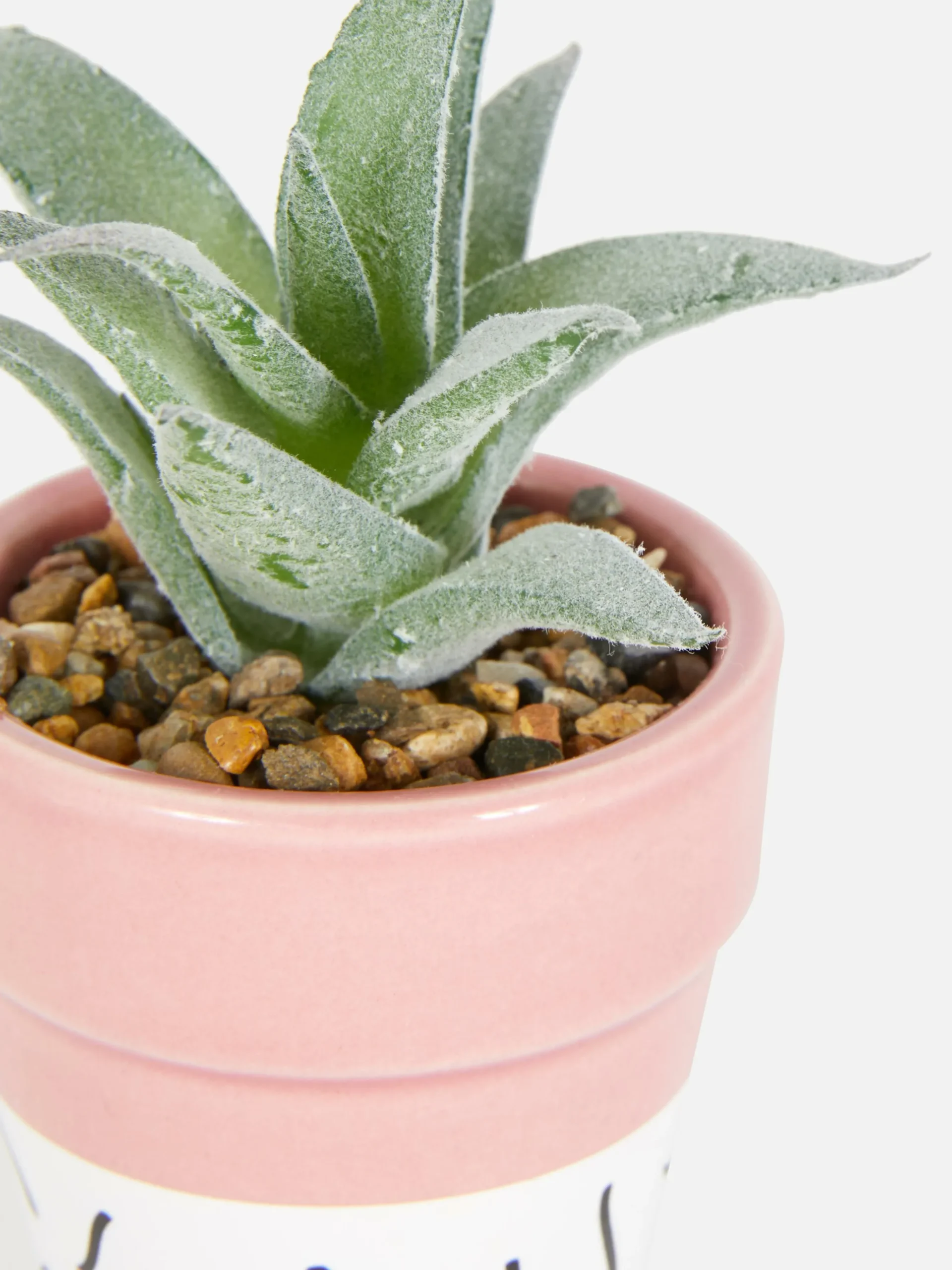 Suculenta Artificial Em Vaso Colorido