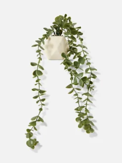 Suculenta Artificial Suspensa Vaso Geométrico